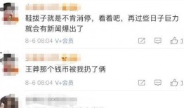 杨子炫富爆料视频大全集,揭秘明星奢华生活背后的真相